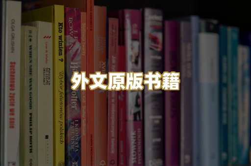 TXT文本书库